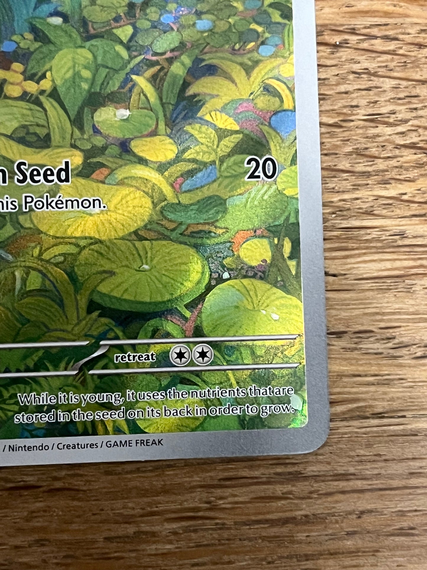 Bulbasaur 166/165 Illustration Rare 151 NM Single Pokémon Card