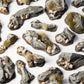 Rocks Basing Bits