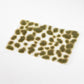 Firstlight Evergold – Tufts