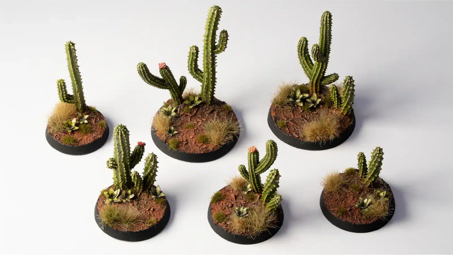 Saguaro Cacti Basing Bits