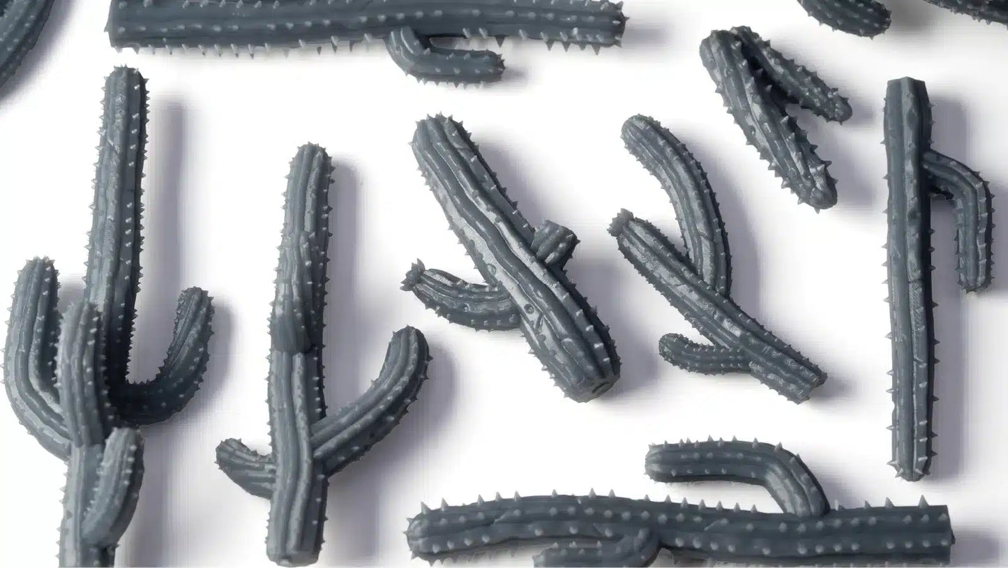 Saguaro Cacti Basing Bits