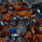 Alien Flytrap