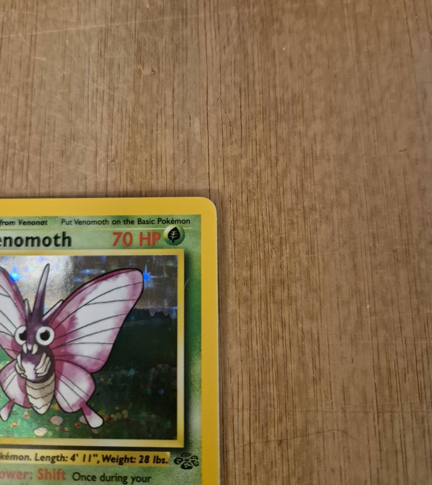 Venomoth Holo 13/64 Jungle Single Pokémon Card