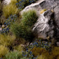 Blue Flowers