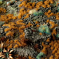 Copper Brown Tufts 2mm