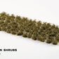 Dark Green Shrubs