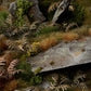Dry Bracken