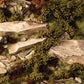 Dry Green Shrubs