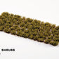 Dry Green Shrubs