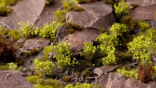 Green Shrubs