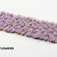 Lavender Flowers