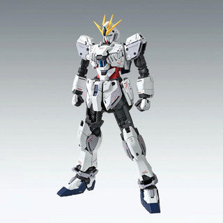 MG 1/100 Narrative Gundam C-Packs Version Ka