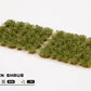 Dark Green Shrub