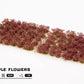 Dark Purple Flowers