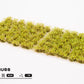 Green Shrubs