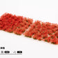 Red Flowers