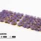 Violet Flowers