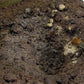 AK - Terrains Muddy Ground