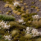 White Flowers