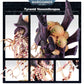 Tyranid Venomthropes/Zoanthropes