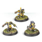 Goblin Team: Scarcrag Snivellers